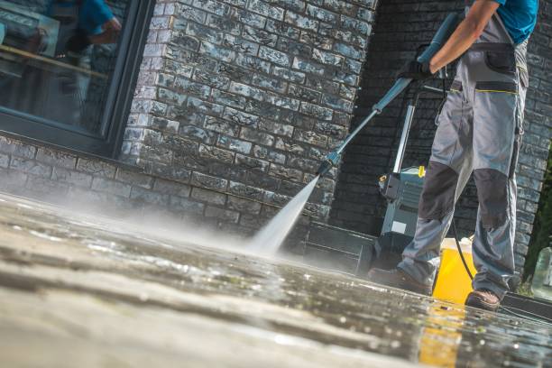 Best Residential House Exterior Washing  in Carroll, IA
