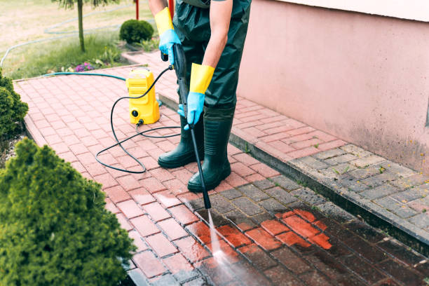 Best Fence Cleaning  in Carroll, IA