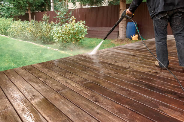 Best Animal Enclosure Cleaning  in Carroll, IA