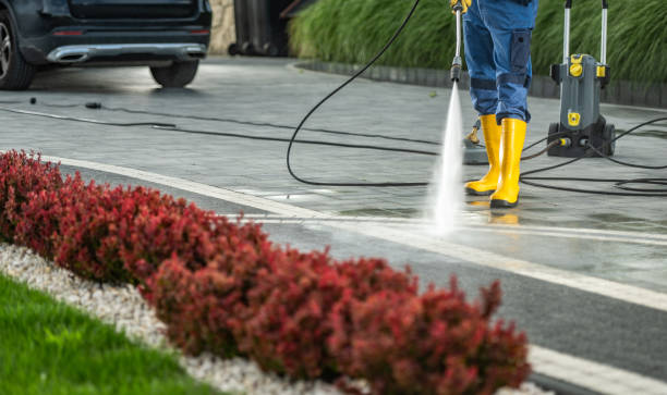 Best Playground Equipment Cleaning  in Carroll, IA