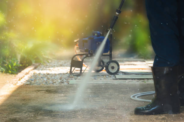 Best Sidewalk and Walkway Cleaning  in Carroll, IA